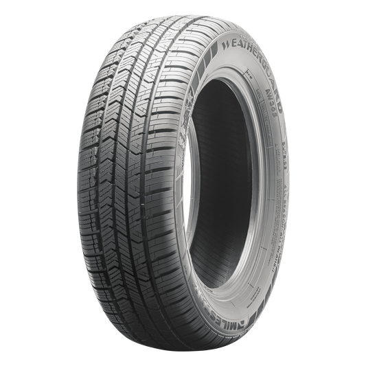 225/60R17 99H WTHRGRD AW365 27.6 2256017